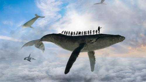 Развитие ВР от НТС