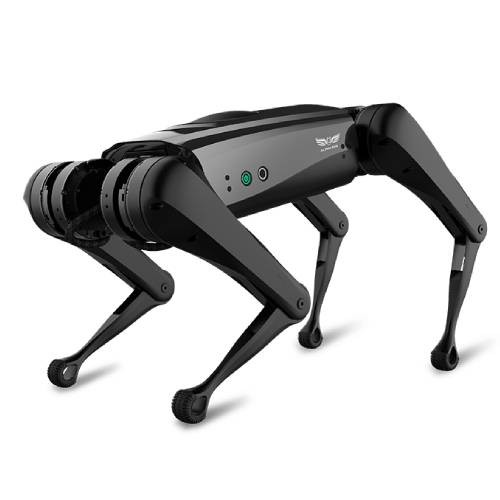 Робот AlphaDog C100