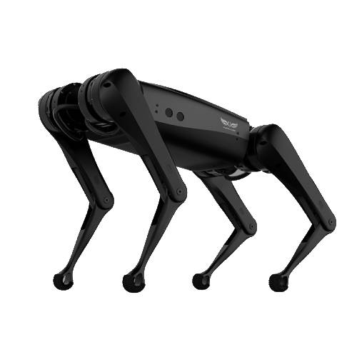 Робот AlphaDog C100