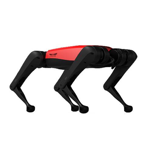 Робот AlphaDog C200