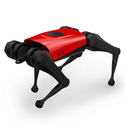 Робот AlphaDog C200