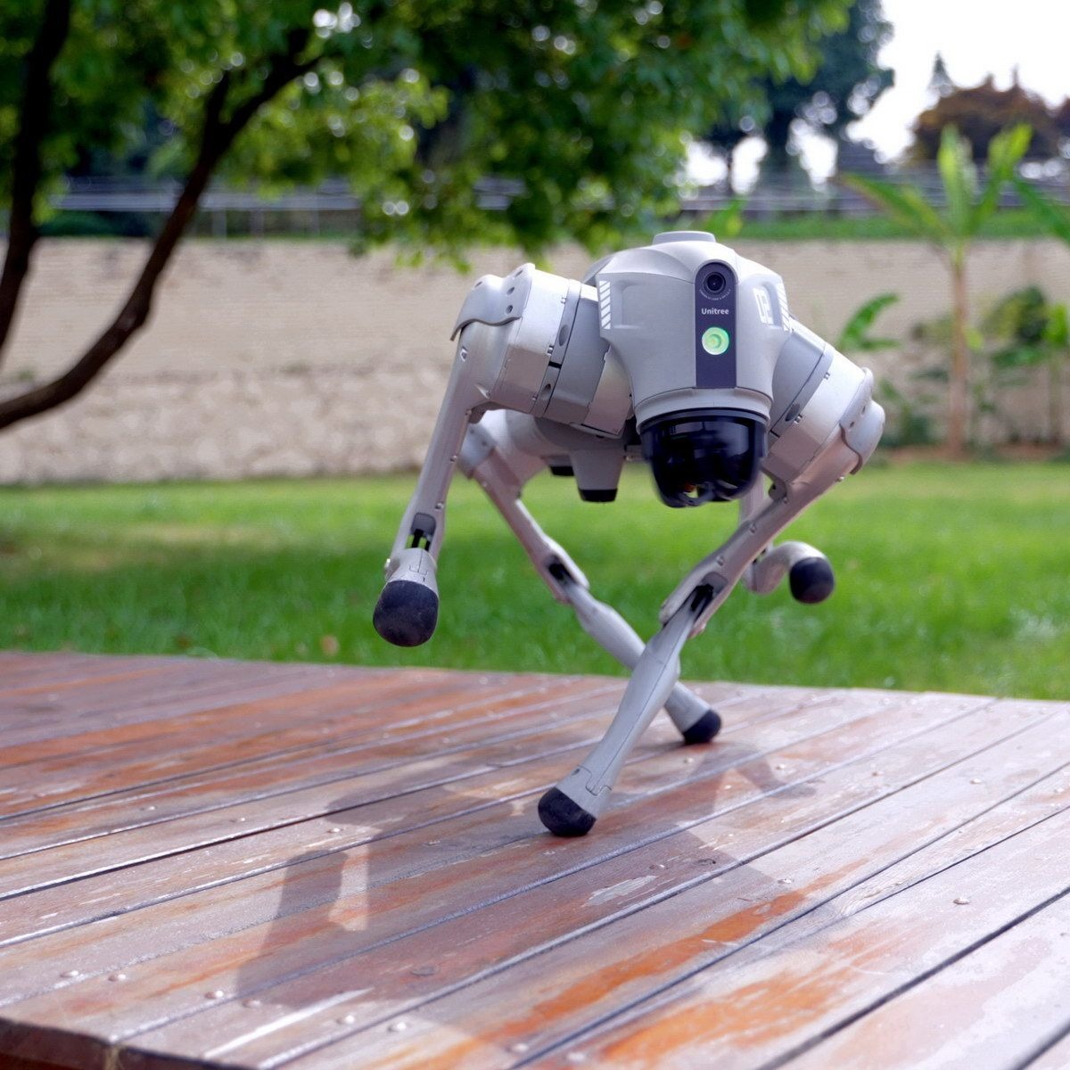 Робот-собака Unitree Go2 AIR