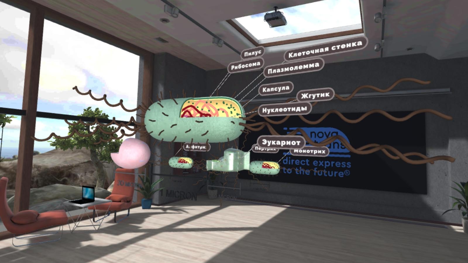 Курс Биология. Виртуальная лаборатория (бессрочная лицензия на 1 устройство)