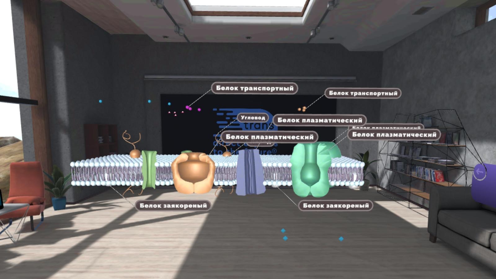 Курс Биология. Виртуальная лаборатория (бессрочная лицензия на 1 устройство)