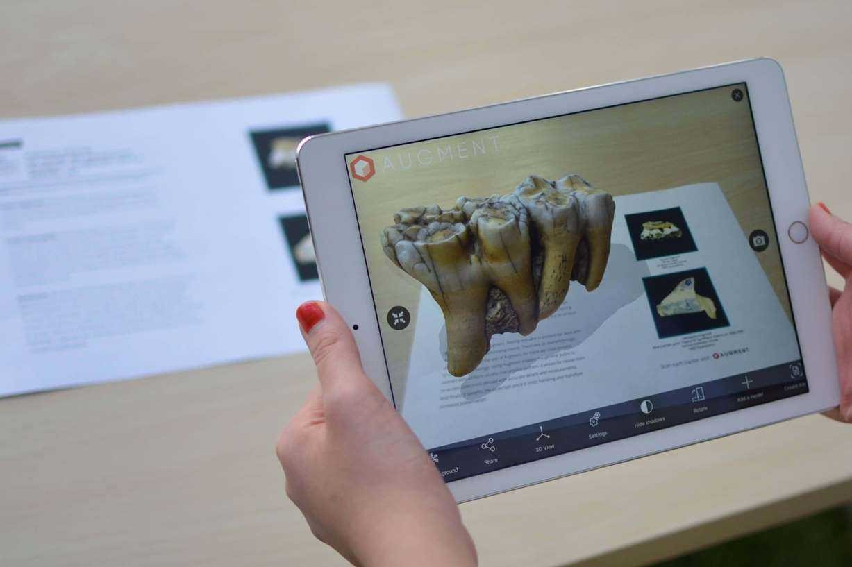 Синергия дополненной и смешанной реальности с образованием