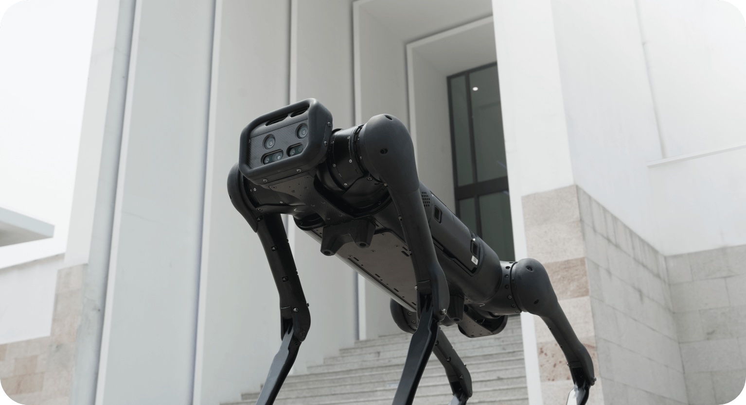 купить Unitree AlienGo