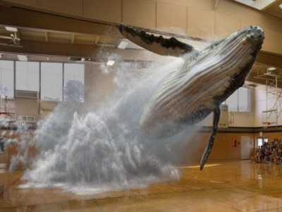 Устройство Magic Leap